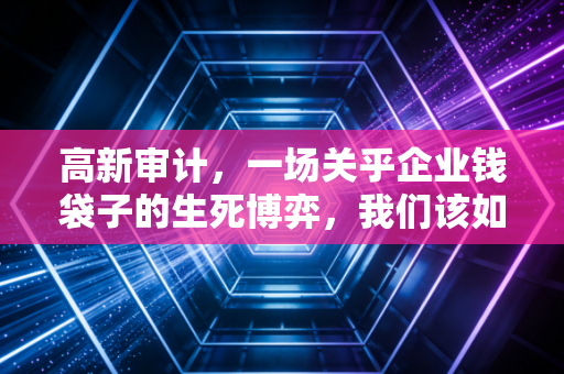 高新审计,一场关乎企业钱袋子的生死博弈,我们该如何应对?