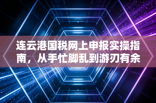 连云港国税网上申报实操指南，从手忙脚乱到游刃有余，老会计的心里话