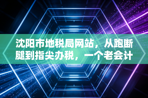 沈阳市地税局网站，从跑断腿到指尖办税，一个老会计的真心话