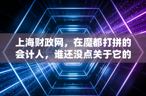上海财政网，在魔都打拼的会计人，谁还没点关于它的爱恨情仇？