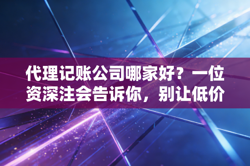 代理记账公司哪家好？一位资深注会告诉你，别让低价毁了你的创业梦