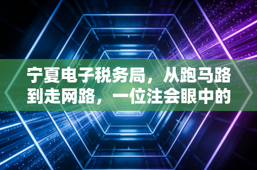 宁夏电子税务局，从跑马路到走网路，一位注会眼中的数字化财税变革