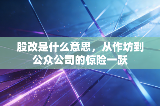 股改是什么意思，从作坊到公众公司的惊险一跃