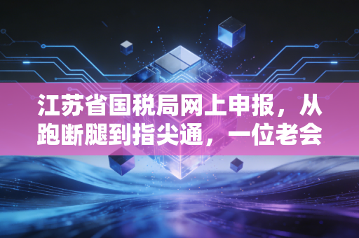 江苏省国税局网上申报，从跑断腿到指尖通，一位老会计的实战心得与避坑指南