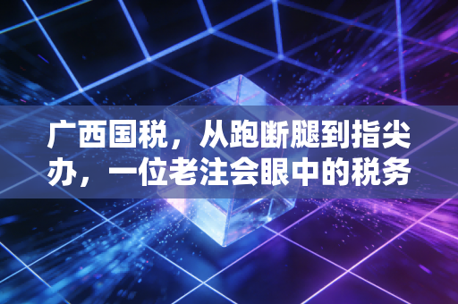 广西国税，从跑断腿到指尖办，一位老注会眼中的税务变迁