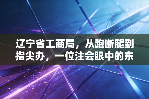 辽宁省工商局，从跑断腿到指尖办，一位注会眼中的东北营商环境变迁
