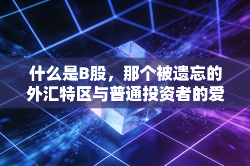 什么是B股，那个被遗忘的外汇特区与普通投资者的爱恨情仇
