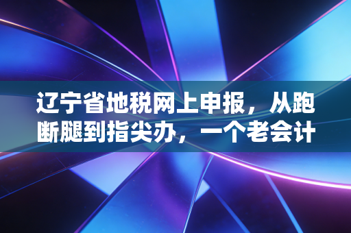 辽宁省地税网上申报，从跑断腿到指尖办，一个老会计的真心话