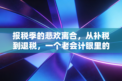 报税季的悲欢离合，从补税到退税，一个老会计眼里的个税江湖
