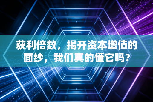 获利倍数,揭开资本增值的面纱,我们真的懂它吗?