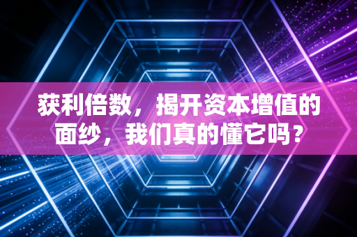 获利倍数,揭开资本增值的面纱,我们真的懂它吗?