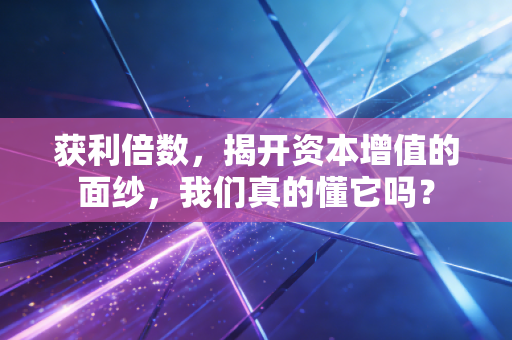 获利倍数，揭开资本增值的面纱，我们真的懂它吗？