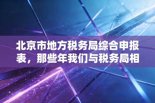 北京市地方税务局综合申报表，那些年我们与税务局相爱相杀的日子
