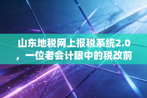 山东地税网上报税系统2.0，一位老会计眼中的税改前夜与数字化阵痛