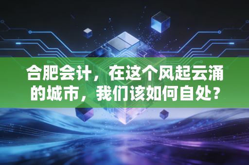 合肥会计,在这个风起云涌的城市,我们该如何自处?