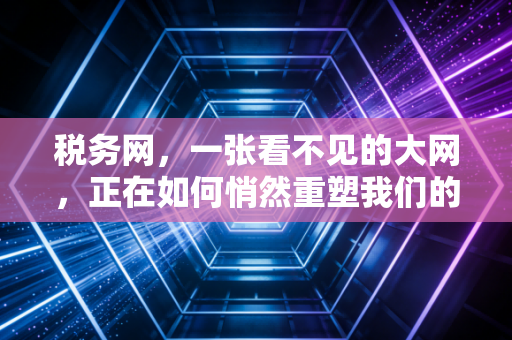 税务网，一张看不见的大网，正在如何悄然重塑我们的生活与财富？