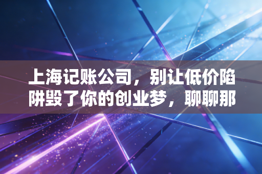 上海记账公司,别让低价陷阱毁了你的创业梦,聊聊那些账本背后的真心话
