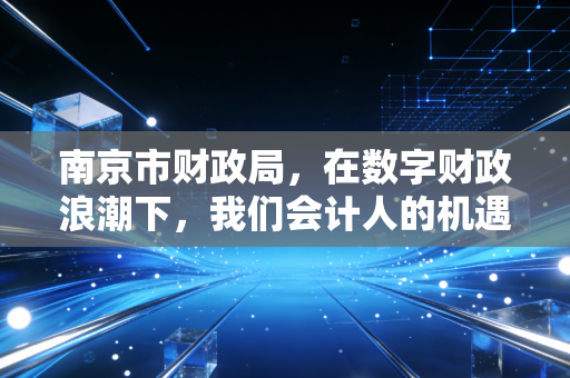 南京市财政局,在数字财政浪潮下,我们会计人的机遇与挑战
