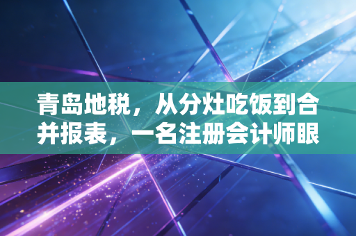 青岛地税，从分灶吃饭到合并报表，一名注册会计师眼中的税务变迁与合规生存指南