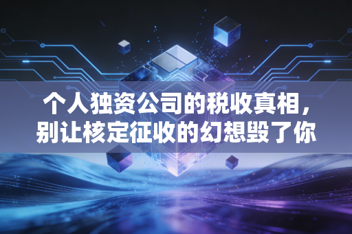 个人独资公司的税收真相,别让核定征收的幻想毁了你的创业梦