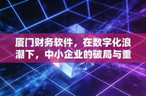 厦门财务软件,在数字化浪潮下,中小企业的破局与重生