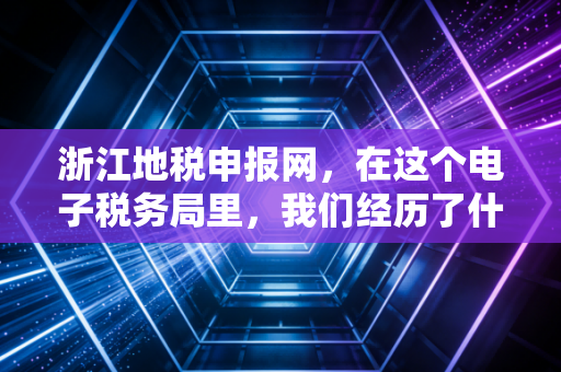 浙江地税申报网,在这个电子税务局里,我们经历了什么?——一名老会计的数字化独白