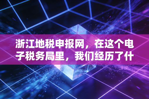 浙江地税申报网,在这个电子税务局里,我们经历了什么?——一名老会计的数字化独白