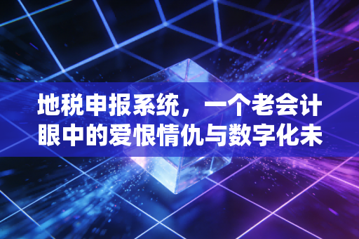 地税申报系统,一个老会计眼中的爱恨情仇与数字化未来