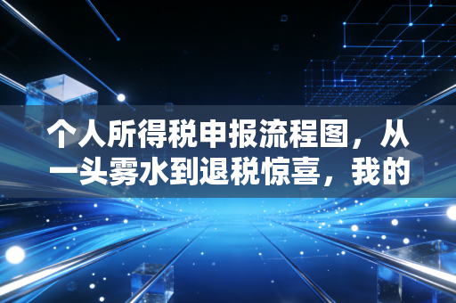 个人所得税申报流程图,从一头雾水到退税惊喜,我的实操心得与避坑指南