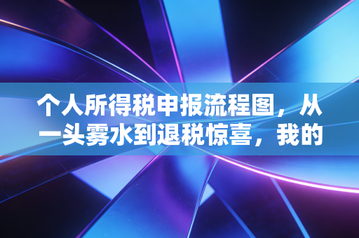 个人所得税申报流程图，从一头雾水到退税惊喜，我的实操心得与避坑指南