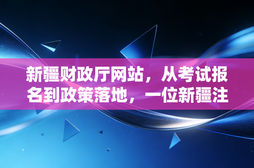 新疆财政厅网站,从考试报名到政策落地,一位新疆注会眼中的数字桥梁