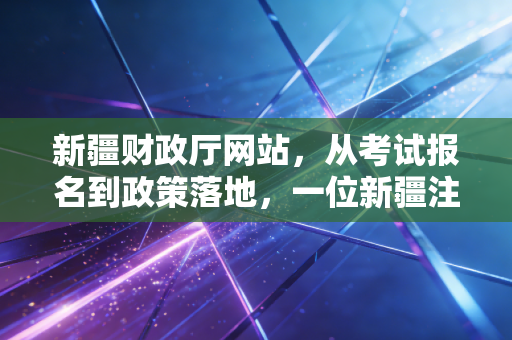 新疆财政厅网站,从考试报名到政策落地,一位新疆注会眼中的数字桥梁