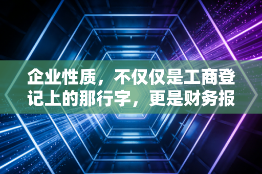 企业性质,不仅仅是工商登记上的那行字,更是财务报表的灵魂与底色