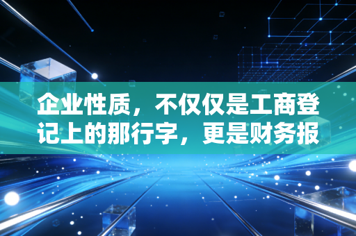 企业性质,不仅仅是工商登记上的那行字,更是财务报表的灵魂与底色