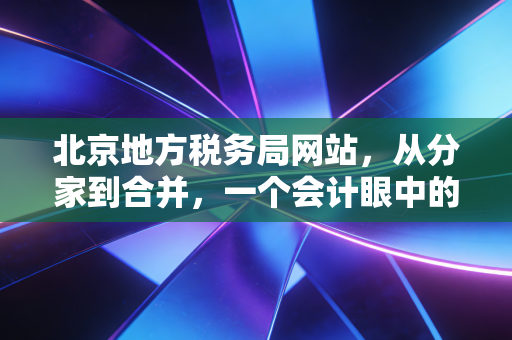 北京地方税务局网站,从分家到合并,一个会计眼中的数字税务变迁史