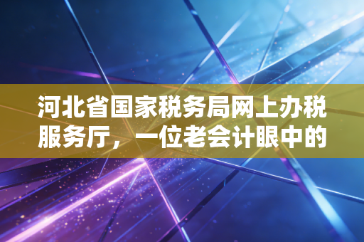 河北省国家税务局网上办税服务厅,一位老会计眼中的数字化办税变迁与实操心得