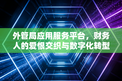 外管局应用服务平台，财务人的爱恨交织与数字化转型的必修课