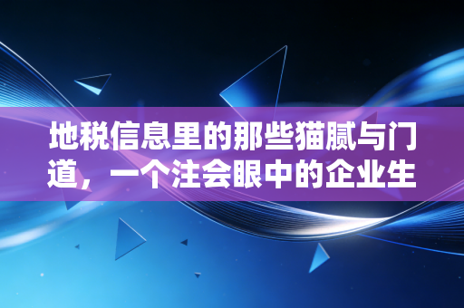 地税信息里的那些猫腻与门道,一个注会眼中的企业生存指南