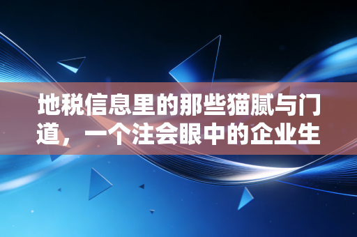 地税信息里的那些猫腻与门道,一个注会眼中的企业生存指南