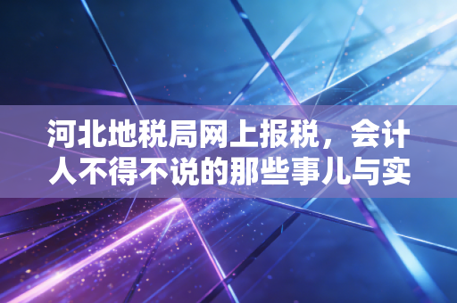 河北地税局网上报税,会计人不得不说的那些事儿与实操全攻略