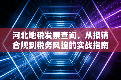 河北地税发票查询，从报销合规到税务风控的实战指南