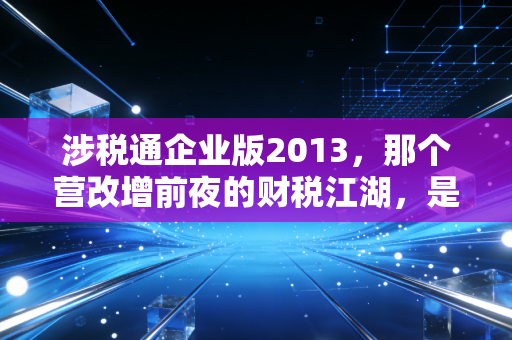 涉税通企业版2013，那个营改增前夜的财税江湖，是我们这一代会计人的独家记忆