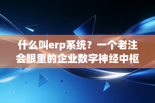 什么叫erp系统？一个老注会眼里的企业数字神经中枢建设指南