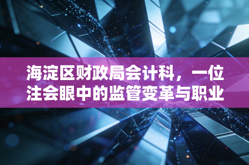 海淀区财政局会计科,一位注会眼中的监管变革与职业温度