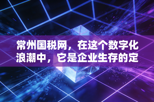 常州国税网,在这个数字化浪潮中,它是企业生存的定海神针吗?