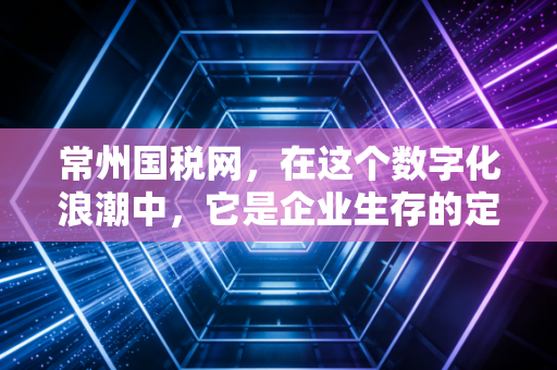 常州国税网，在这个数字化浪潮中，它是企业生存的定海神针吗？