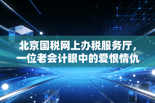 北京国税网上办税服务厅，一位老会计眼中的爱恨情仇与数字化突围