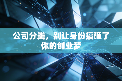 公司分类,别让身份搞砸了你的创业梦