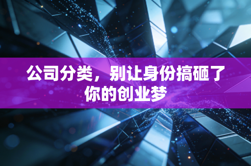 公司分类,别让身份搞砸了你的创业梦