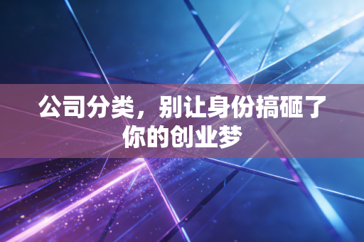 公司分类，别让身份搞砸了你的创业梦